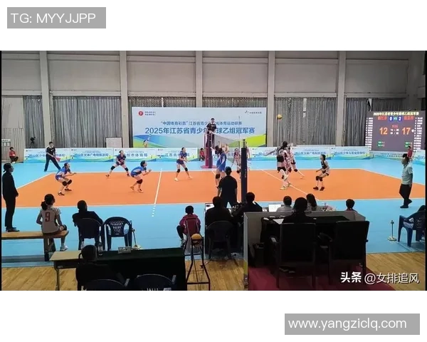 南京排球队的灵活性揭秘：从训练到比赛的全方位解析与展现